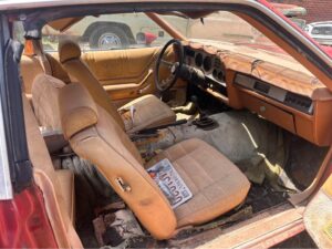 1978 king cobra project